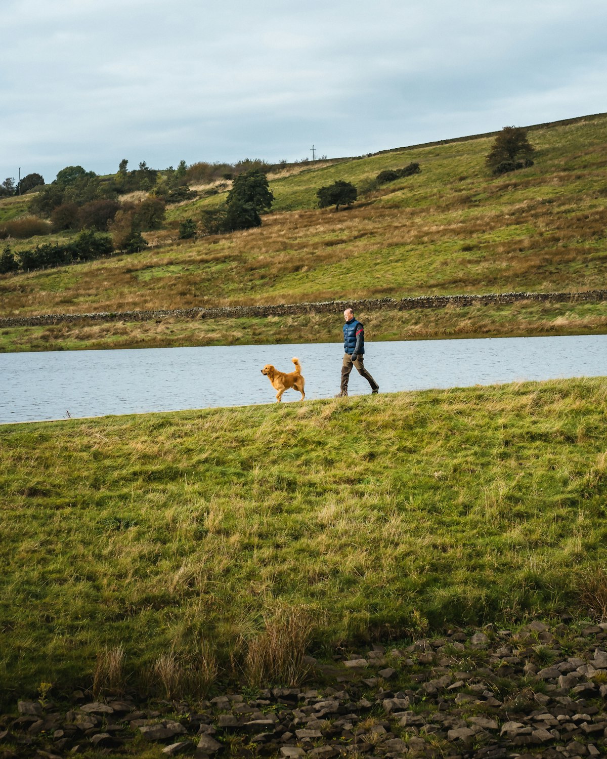 Hond en begeleider tijdens een wandeling aan het water